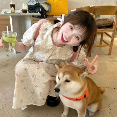 虫虫的异想生活