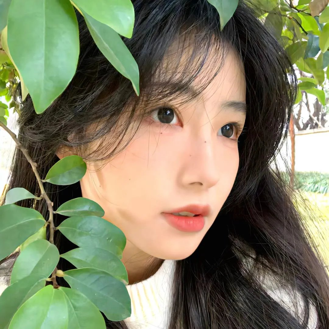 飞越绿林